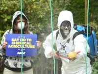 Một triệu người phản đối thuốc diệt cỏ của Monsanto 
