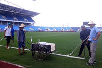 Sân Mỹ Đình như… ‘bãi chăn bò’ vì 10 năm không được thay cỏ mới