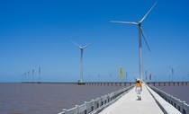 Về Bạc Liêu ngắm cánh đồng quạt gió trên biển Về Bạc Liêu ngắm cánh đồng quạt gió trên biển