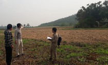 1.350ha đất bỏ hoang vì dự án bò sữa 3.800 tỉ đồng dang dở 1.350ha đất bỏ hoang vì dự án bò sữa 3.800 tỉ đồng dang dở