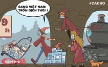 Harry Potter đã về tới Việt Nam