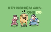 Kỳ án tranh chấp bò lạc, phải nhờ đến xét nghiệm ADN mới phân thắng thua