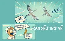 Sếu đầu đỏ trở về vườn Quốc gia Tràm Chim sau một năm vắng bóng