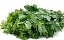 Rau ngót: 5 bài thuốc trị bệnh trong Đông y