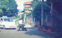 Né chó dữ, người đàn ông lao xe máy tông vào ôtô