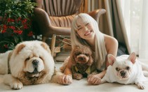 Châu Bùi kêu gọi dừng ăn thịt chó, netizen đòi công bằng cho gà vịt
