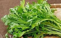 5 bài thuốc từ rau cải cúc giúp trị đau đầu, giải cảm
