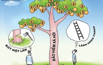 Rút BHXH 1 lần: Bài toán khó giải