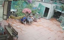 Vợ chồng chụp hình selfie tự sướng làm vỡ chậu hoa