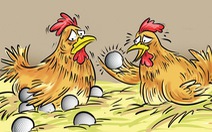 Con gà và quả trứng quý tộc