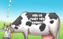 Sữa bò thiết yếu hay không thiết yếu?