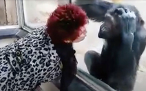Trót yêu tinh tinh, người phụ nữ bị cấm đến sở thú