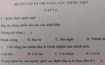 Đề thi năng lực tiếng Việt 'hại não' cho học sinh Nhật