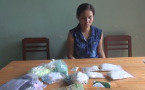 Quảng Ngãi: Bắt nữ quái vận chuyển 1680 viên ma túy tổng hợp và gần 1 kg ma túy đá