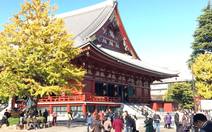 Đi Nhật Bản ngắm ‘mùa thu lá bay’ chỉ với 21 triệu
