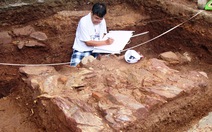 Tìm kiếm lăng mộ vua Quang Trung: Mở rộng khai quật
