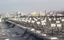 Nghị sỹ Mỹ tham quan việc xử lý dioxin sân bay Đà Nẵng