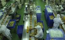 Khám phá cách người Nhật sản xuất mì ăn liền tại Việt Nam