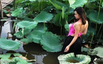 Hà Nội xây dựng không gian thưởng thức trà sen