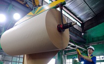 Trung Quốc khát giấy, gom sạch giấy cuộn từ Việt Nam