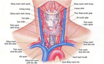 Những bệnh thường gặp của tuyến giáp