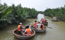 Quảng Nam đầu tư 25,5 tỷ đồng phục hồi rừng dừa nước