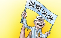 Lụa Việt cao cấp