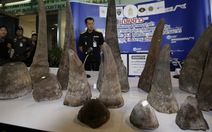 Mang 7,4kg sừng tê, 3 người Việt bị bắt ở sân bay Thái