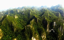 Bài thi Bản sắc Việt: Đến Phong Nha ngắm rừng bách xanh