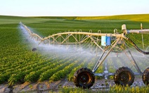Đào tạo nguồn nhân lực nông nghiệp công nghệ cao