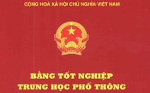 Cách chức phó chủ tịch phường vì xài bằng giả