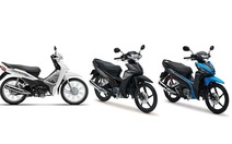 Honda Việt Nam giới thiệu đồng loạt phiên mới 3 xe số