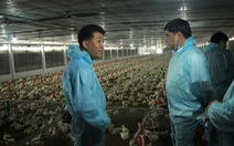 Miền Đông tìm cách ứng dụng công nghệ 4.0 trong chăn nuôi