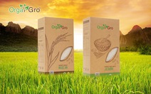 Chuyện về hạt gạo hữu cơ Orgagro