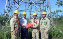 Xử lý các tồn tại trên đường dây 500 kV Pleiku - Đắk Nông