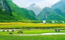 Cảnh Việt Nam xanh thẳm, đẹp như thơ