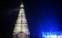 Cây thông cao nhất Việt Nam bừng sáng dịp Noel
