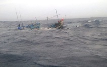 Tàu cá cùng 10 thuyền viên bị sóng đánh chìm trên biển, 1 ngư dân mất tích