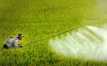 Thêm 79 hoạt chất thuốc bảo vệ thực vật được phép sử dụng tại Việt Nam