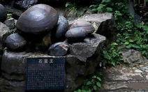 Bí ẩn vách đá 'đẻ ra trứng' ở Trung Quốc