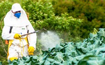 Bộ trưởng Pháp hứng đá vì lộ liễu bảo vệ thuốc trừ sâu