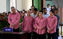 Phạt tù 9 bị cáo phá 64ha rừng ở Bình Định