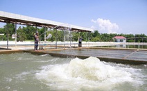 Yêu cầu vận hành cấp nước đủ cho thành phố Đà Nẵng