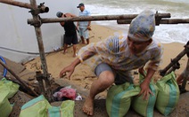 Ứng phó bão số 9, Khánh Hòa cấm biển