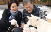 ‘Món quà hòa bình" của lãnh đạo Triều Tiên sinh sôi trên đất Hàn