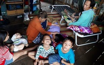 Kiên Giang: hai em nhỏ vớt bèo lục bình chết đuối thương tâm