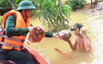 Miền Trung: đồng bằng ngập sâu, miền núi sạt lở