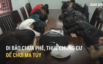 Đi bão chưa phê, thuê chung cư để chơi ma túy