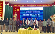 Hỗ trợ nông dân tiết kiệm điện trong chong đèn hoa cúc