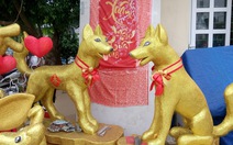 Dân Sài Gòn - Hà Nội bỏ tiền triệu sắm linh vật chó chơi Tết